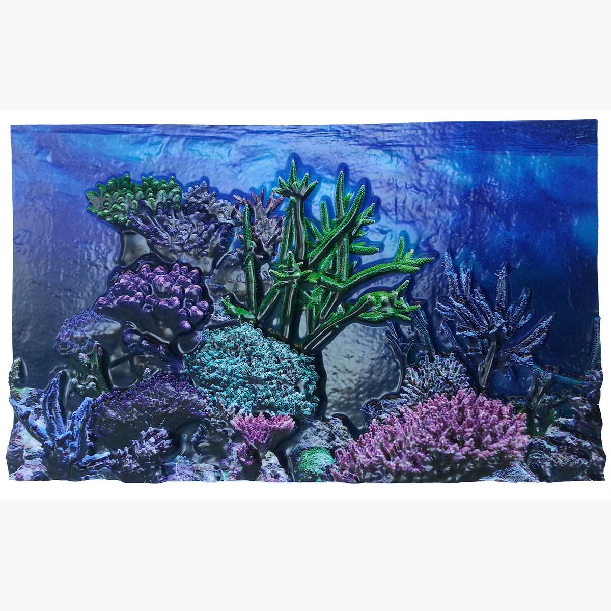 Biobubble Bio-17166600 3d Background Coral Reef