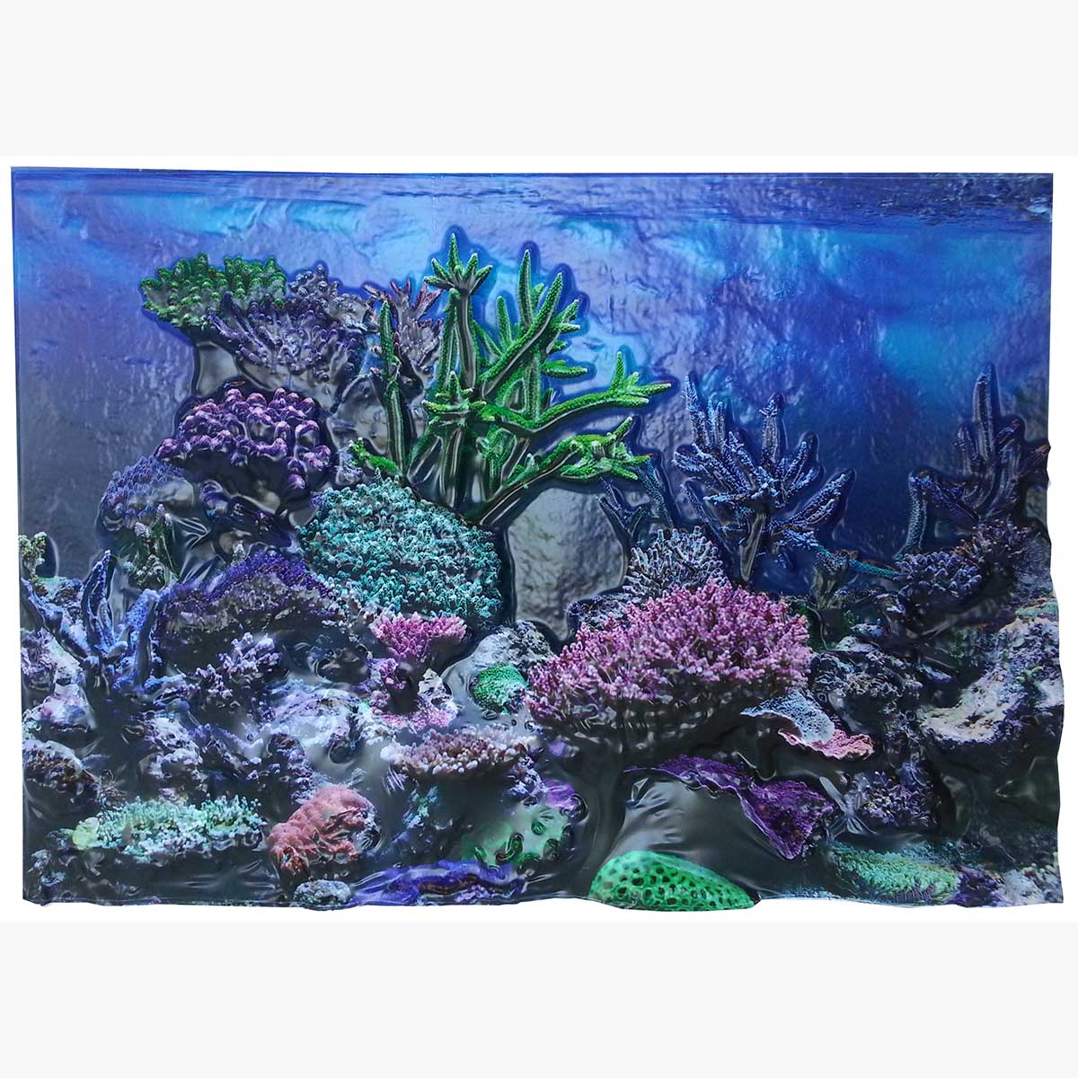 Biobubble Bio-17167300 3d Background Coral Reef