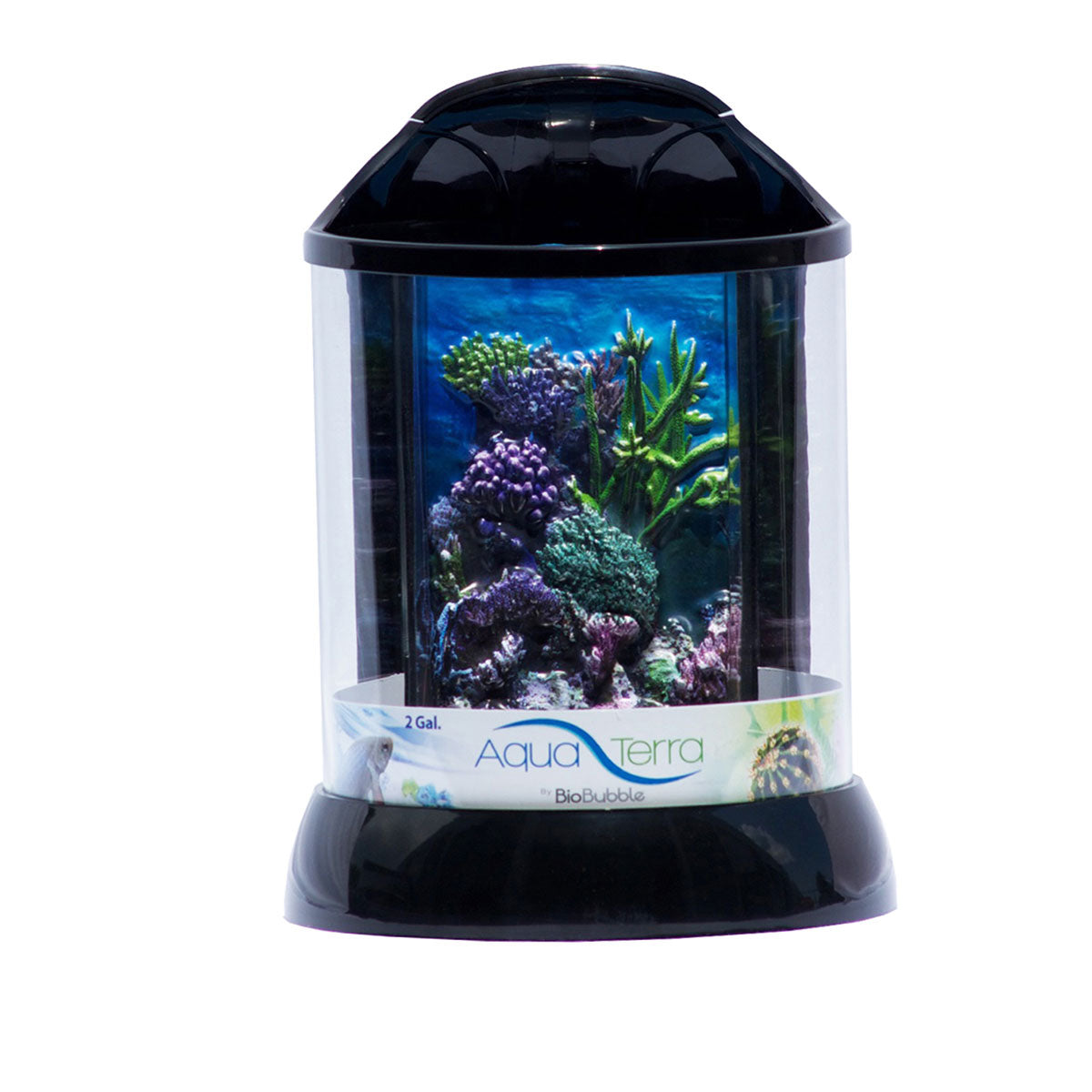 Biobubble Bio-20081201 3d Background For Aquaterra 2 Gallon