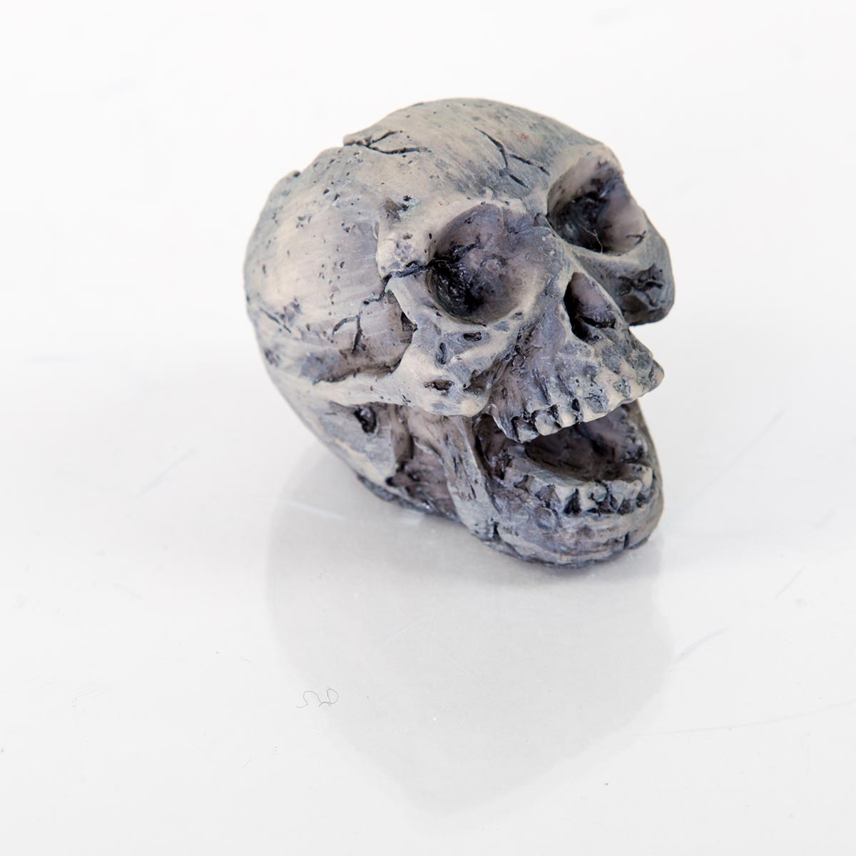 Biobubble Bio-60132100 Decorative Human Skull