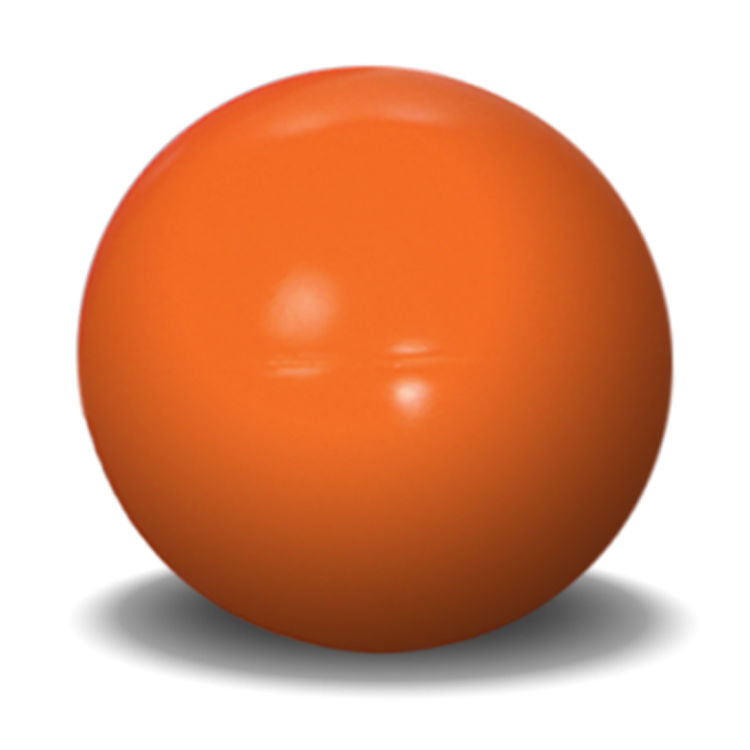 Hueter Toledo Dd-1010 Virtually Indestructible Ball 10 Inches