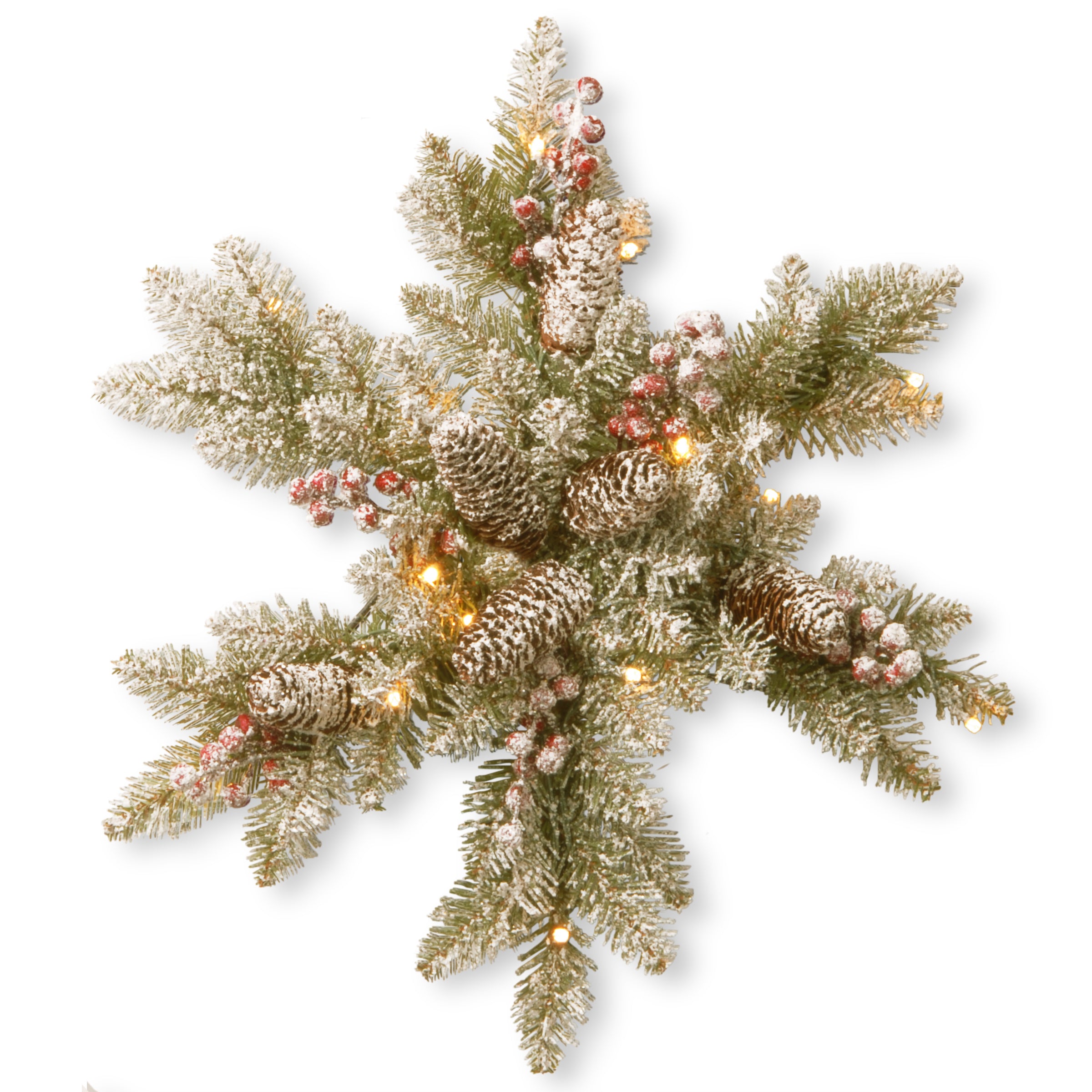 National Tree Duf-300l-18sb-1 18" Dunhill Fir Snowy Snowflakes With Cones, Red Berries &15 Warm White Battery Operated Led Lights W/timer