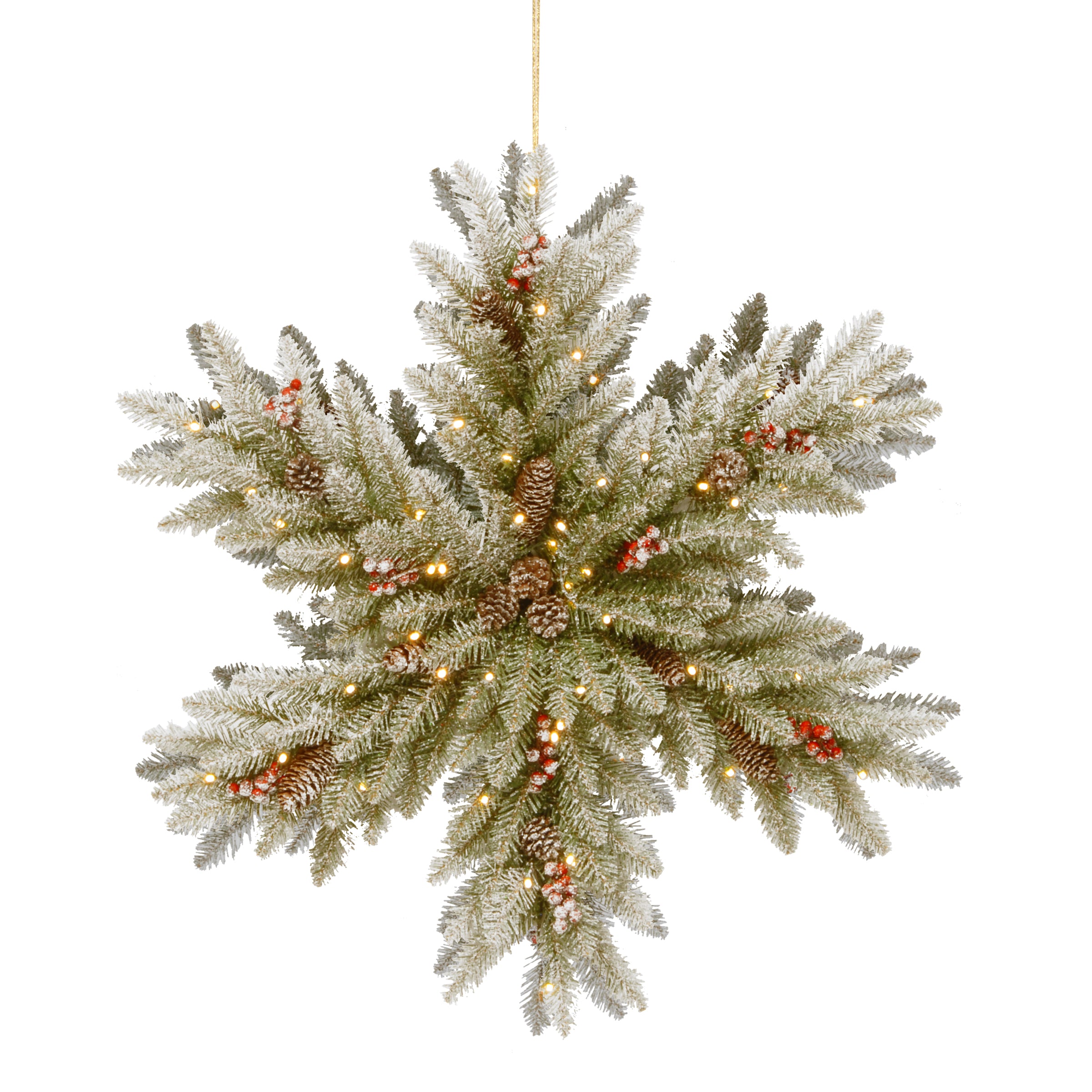 National Tree Duf3-303-32sb-1 32" Snowy Dunhill Fir Double Sided Snowflake With Cones, Red Berries & 100 Warm White Battery Operated Led Lights W/time