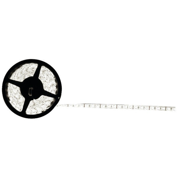 Ethereal Cs-cw5050 5050 Led Strip, 16.4ft (cool White)