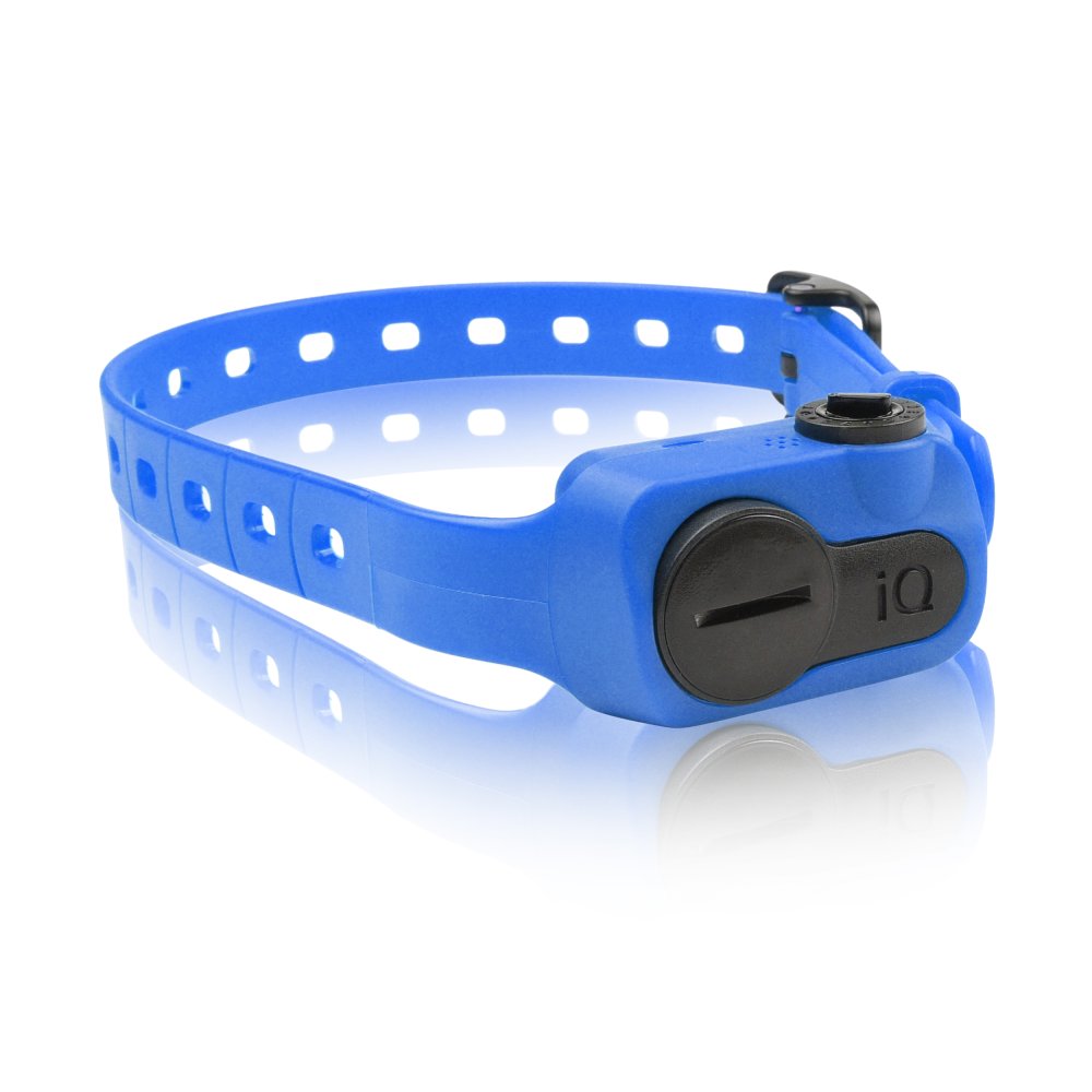 Dogtra Iq-bark-blu Iq No Bark Collar