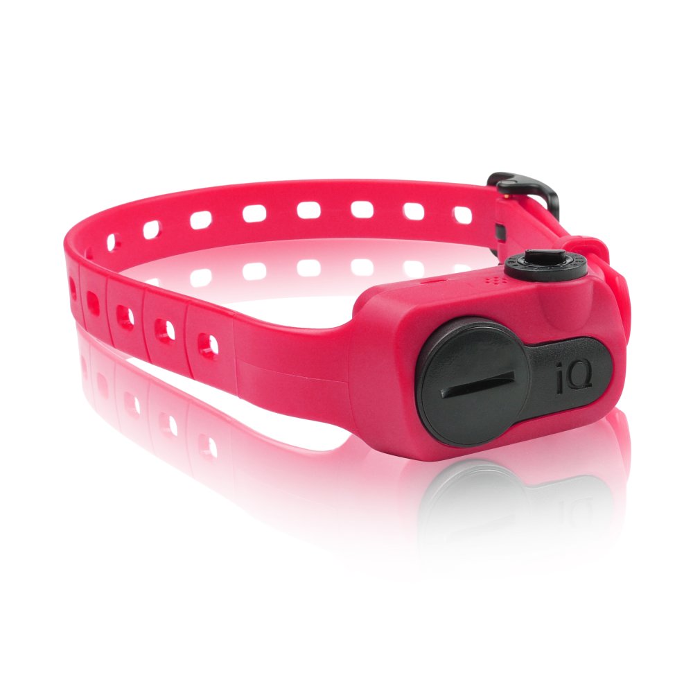 Dogtra Iq-bark-pnk Iq No Bark Collar