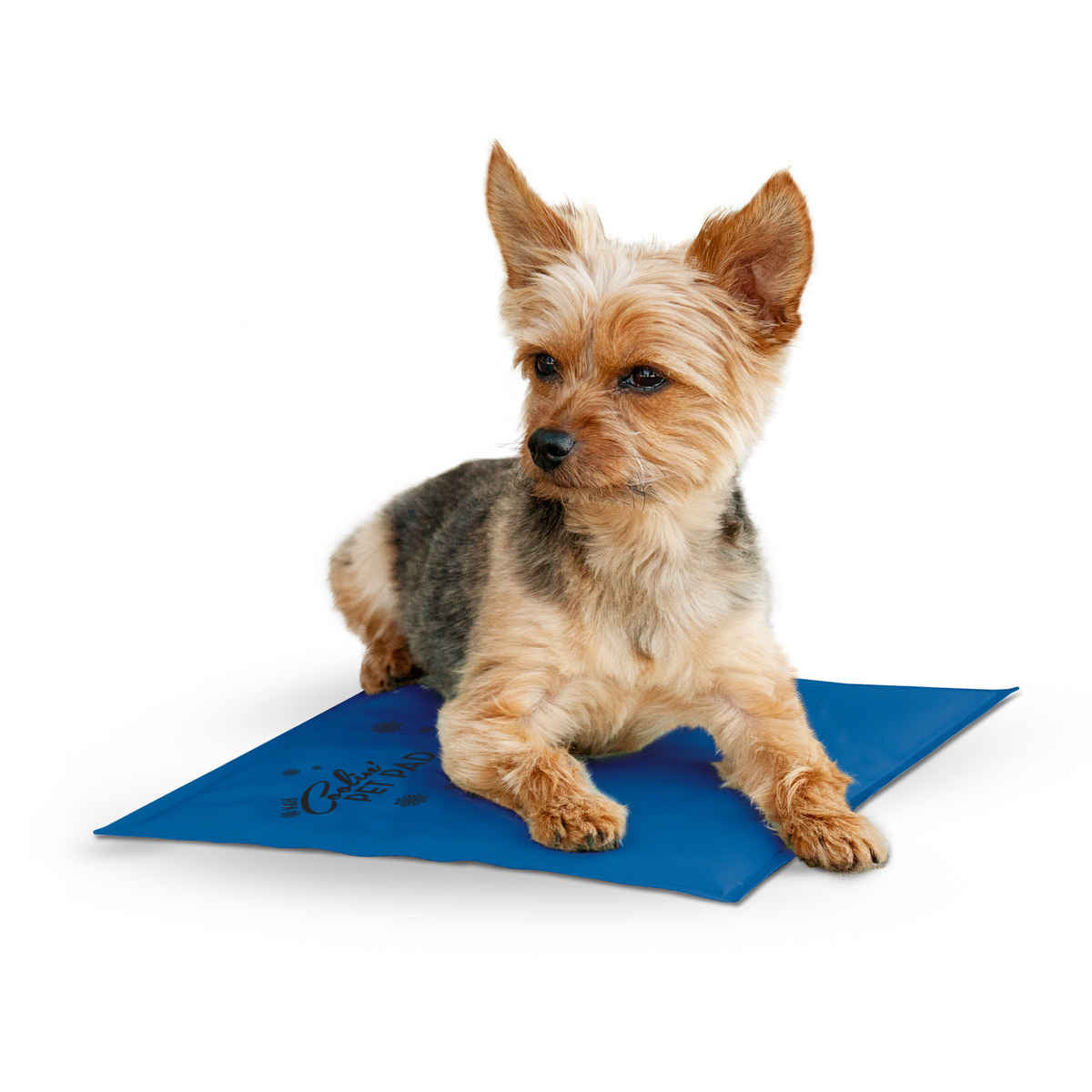 K&h Pet Products Kh1767 Coolin Pet Pad