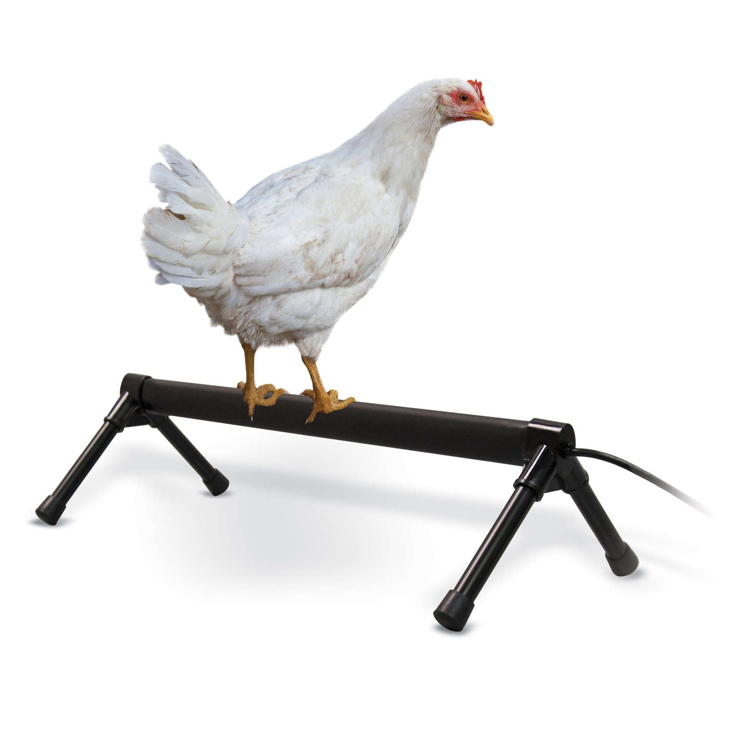 K&h Pet Products Kh2110 Thermo-chicken Perch