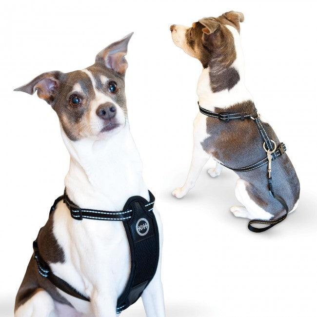 K&h Pet Products Kh7833 Travel Safety Pet Harness