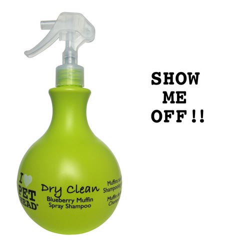 Pet Head Ph10301 Dry Clean Spray Shampoo Blueberry Muffin 15oz