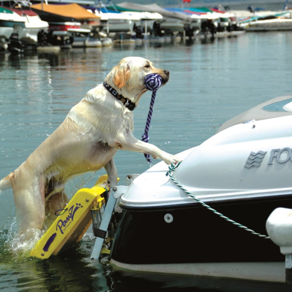 Pawz Pet Products Pp-z5200 Dog Boat Ladder