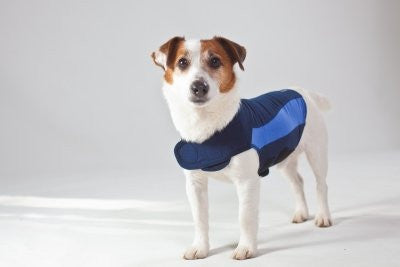 Thundershirt Extra Small Blue Polo