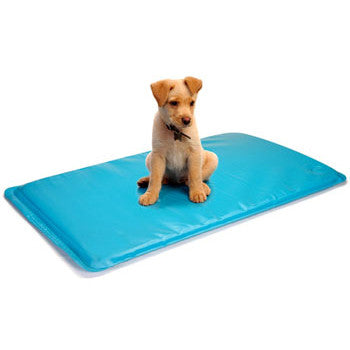 Soothsoft Canine Cooler 18 X 24