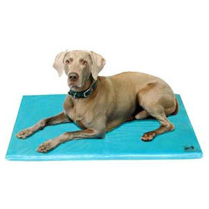 Soothsoft Canine Cooler 36 X 48