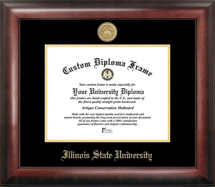 Illinois State Gold Embossed Diploma Frame