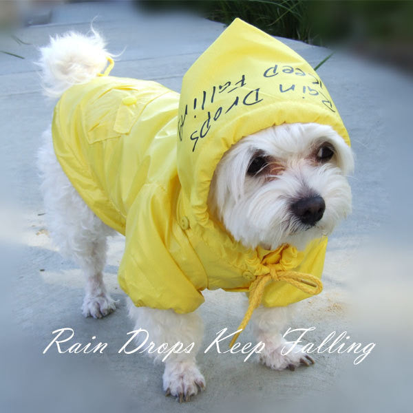 Rain Coat: Rain Drops Keep Falling