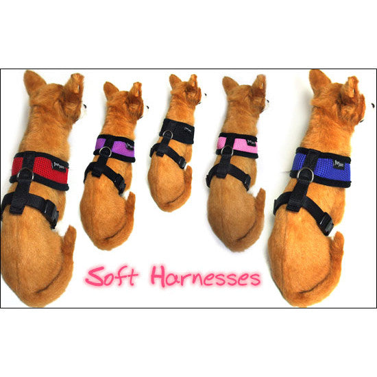 Soft Harnesses