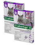 Advantage Ii For Cats 9-18 Lbs Purple 12 Tubes