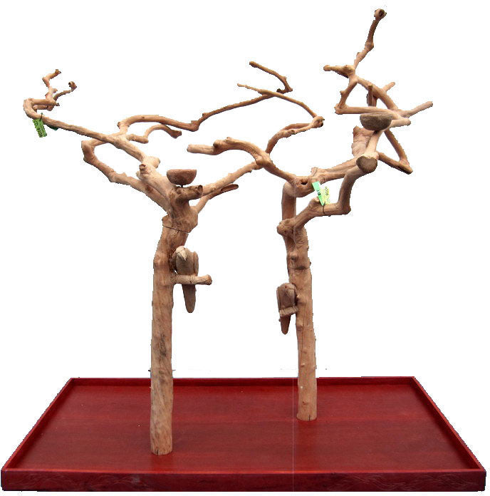 A&e Cage Ae400lc Large Double Java Wood Tree With Carving 73"x36"x66"