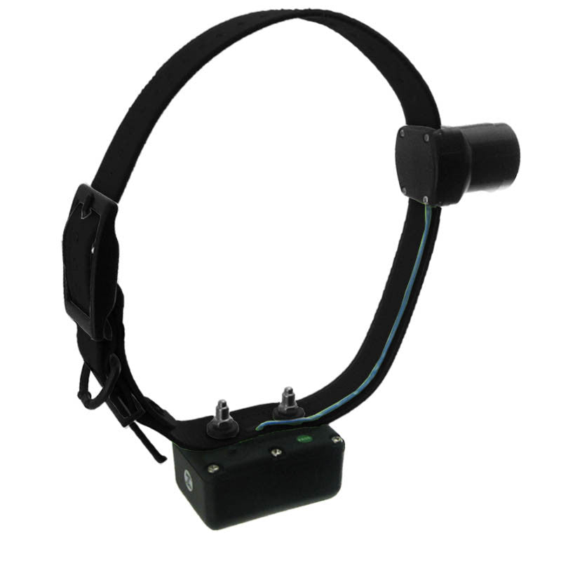 D.t. Systems H2o 1850 Plus Add-on Beeper Collar With Black Strap