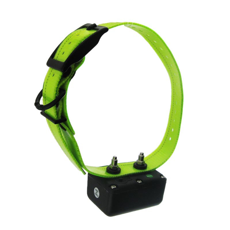 D.t. Systems H2o 1800 Plus Add-on Collar With Green Strap
