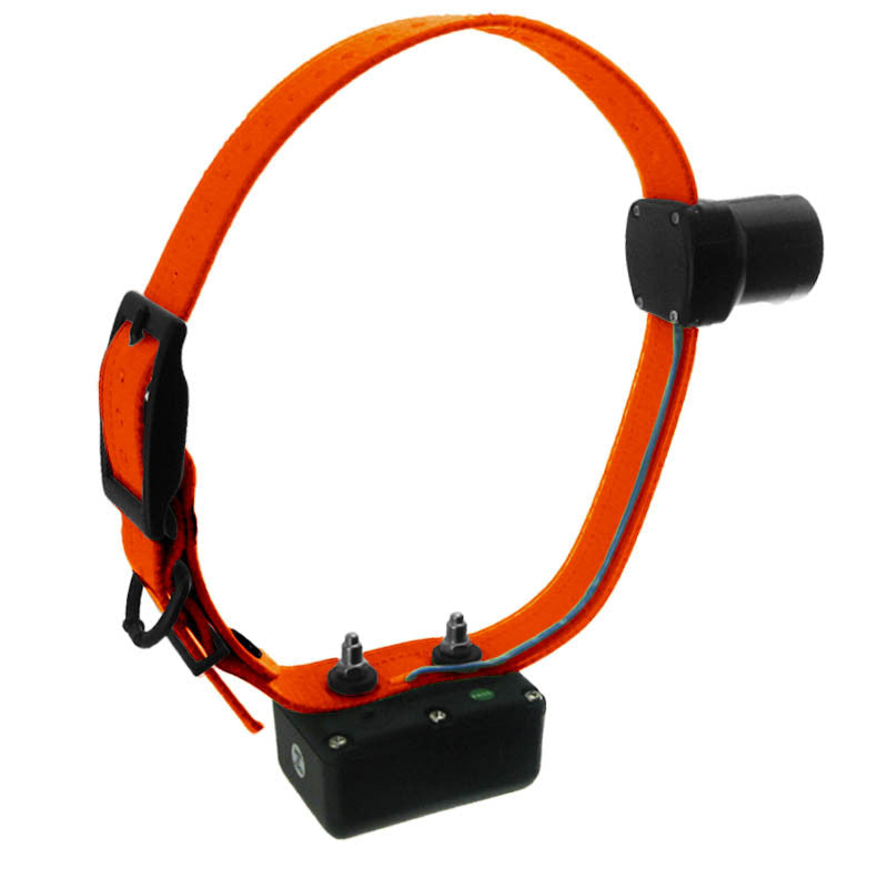 D.t. Systems H2o 1850 Plus Add-on Beeper Collar With Orange Strap