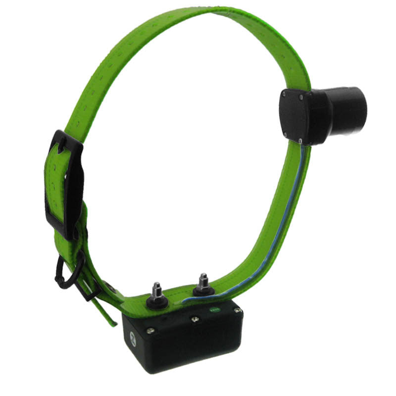 D.t. Systems H2o 1850 Plus Add-on Beeper Collar With Green Strap