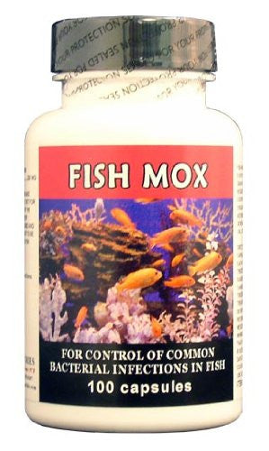Fish Mox 250mg Capsules 100, Black
