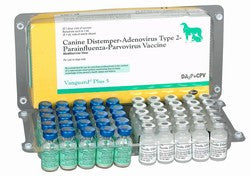 Vanguard Plus 5 (25 Single Dose Vials)