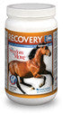 Recovery Eq With Hyaluronic Acid, 2.2 Lbs (1 Kg)
