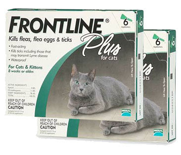 Frontline Plus Cats (12 Tubes)