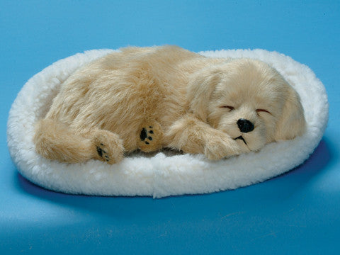 Furry Animal Kingdom Handmade Synthetic Breathing Dog - Golden Retriever Db771