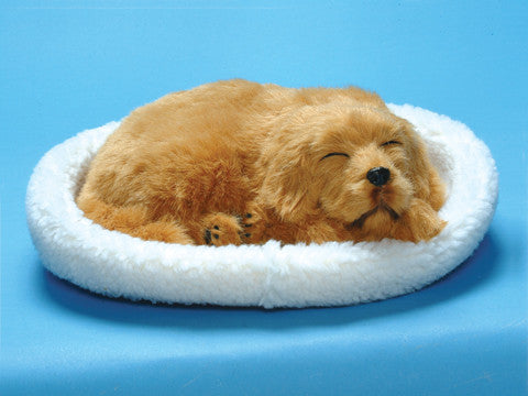 Furry Animal Kingdom Handmade Synthetic Breathing Dog - Golden Retriever Db776