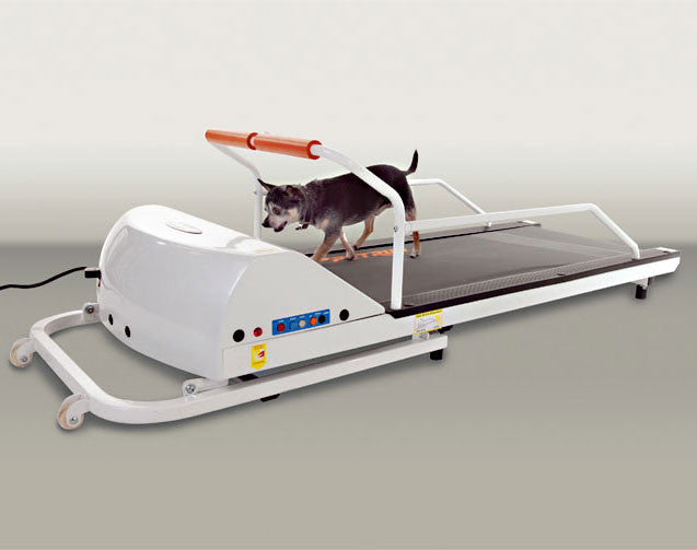 Gopet Petrun Pr710 Dog Treadmill (for Dogs Up To 90 Lbs)