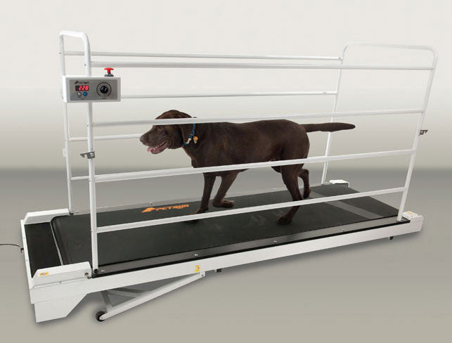 Gopet Petrun Pr730 Dog Treadmill (for Dogs Up To 265 Lbs)