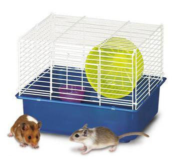 My First Home Hamster 1story 6pk (100079043)