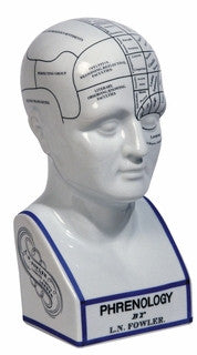 Authentic Models Mg020 Phrenology Head