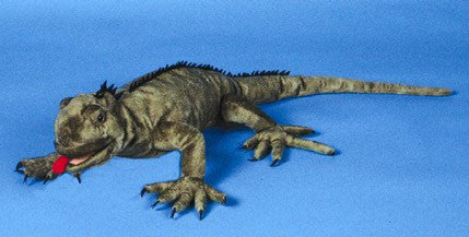 Marine Iguana 34" Puppet