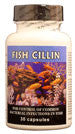 Fish Cillin 250mg Capsules 30, Blue