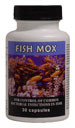 Fish Mox 250mg Capsules 30, Blue