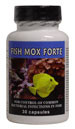 Fish Mox Forte 500mg Capsules 30, Blue
