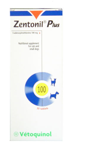 Zentonil Plus 100, 6 X 30 Tablets [180 Tablets]