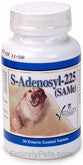S-adenosyl-225 (same) 30 Tab, L. Blue