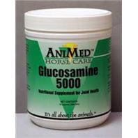 Glucosamine 5000 16oz (90415)