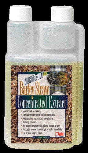 Barley Straw Extract 16 Ounce (mlcbse500)