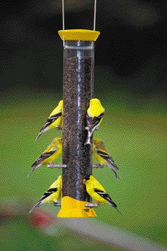 New Generation Thistle Feeder Yellow 15 Inch (cjthm15y)