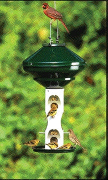 Avian Series Bird Feeder Sunfl Green (av2m)