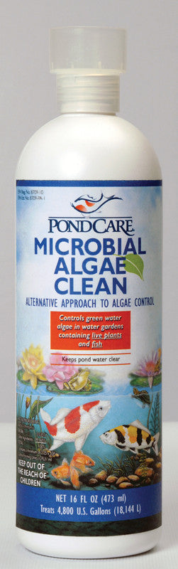 Pc Microbial Algae Clean 16 Ounce (269b)