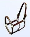 Halter Thoroughbred 1" (192)