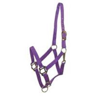 Halter Gatsby Breakaway For Horses - Purple Cobb (401101-2960-3660)